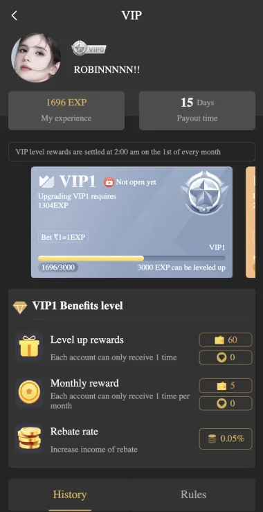 BDG Win VIP benefits area